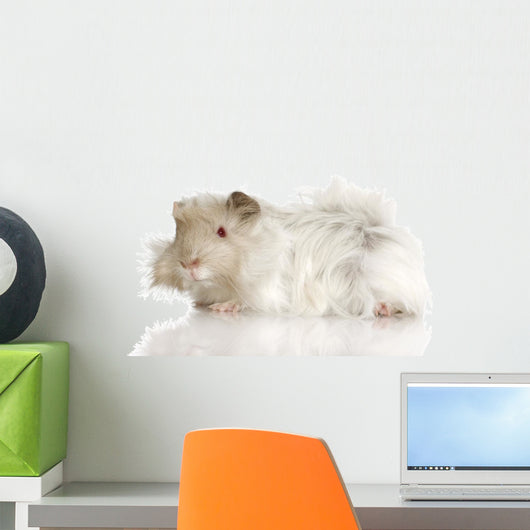 Lilac Peruvian Guinea Pig Wall Decal