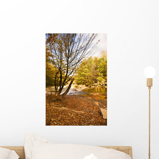 Mountain Small River Wall Decal