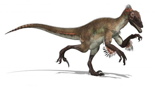 Utahraptor Dinosaur 3D Render Wall Decal