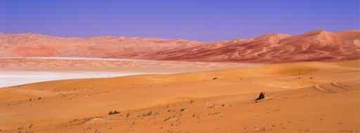 Pink Desert With Chocolate Wall Decal