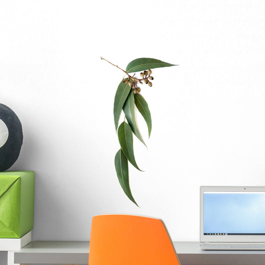 Gum Leaves And Gumnuts Wall Decal