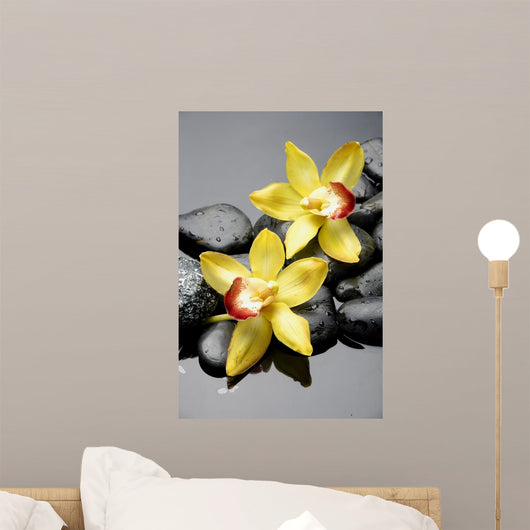 Spa Concept-Beautiful Orchid With Stones Wall Decal