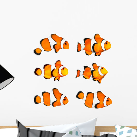 Great Collection Tropical Reef Wall Decal