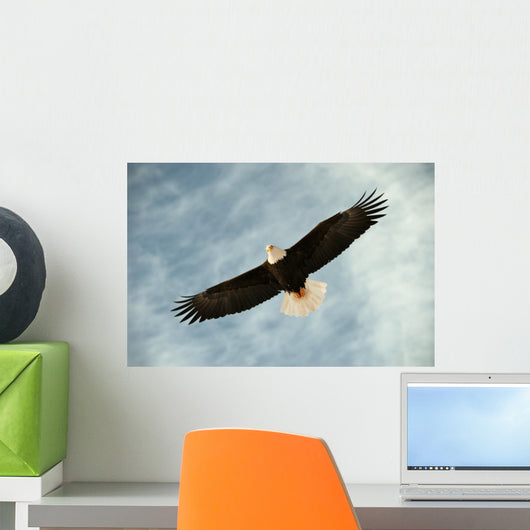 Bald Eagle Flight Awaiting Wall Decal