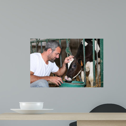 Farmer Feeding And Stroking Wall Decal