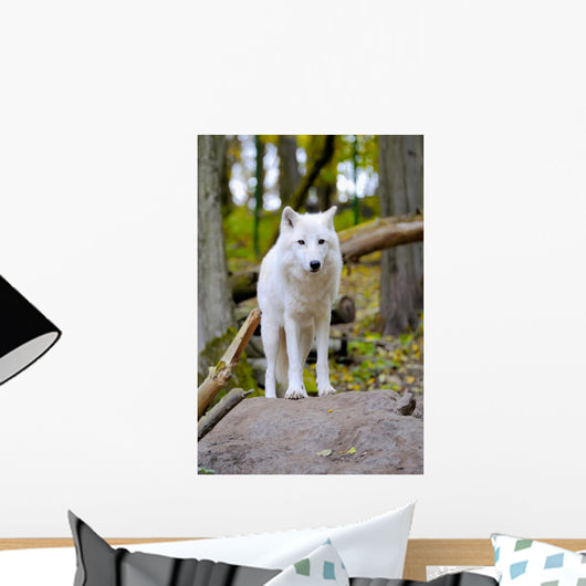 White Wolf Forest Wall Decal