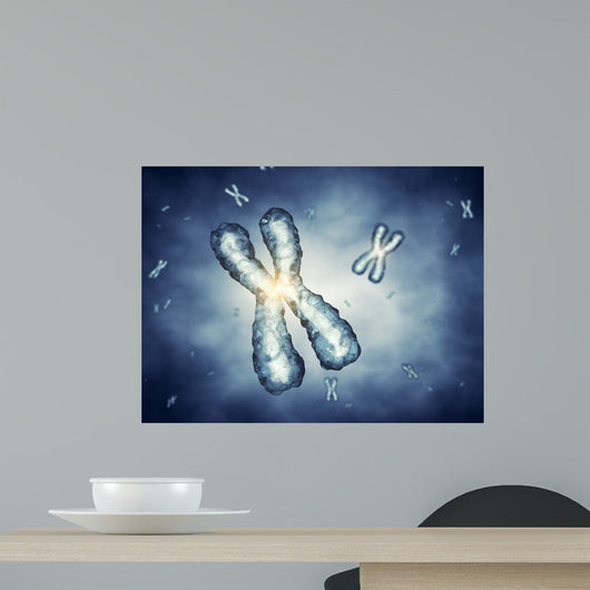 Chromosomes Genetic Engineering Wall Decal