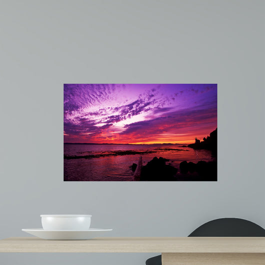 Sunset Lime Kiln Point Wall Decal