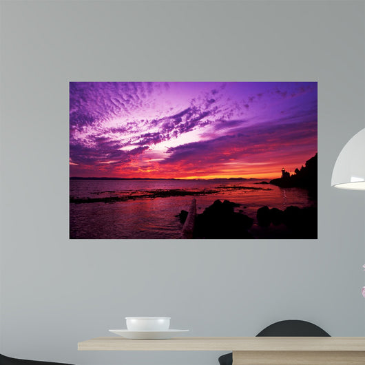 Sunset Lime Kiln Point Wall Decal