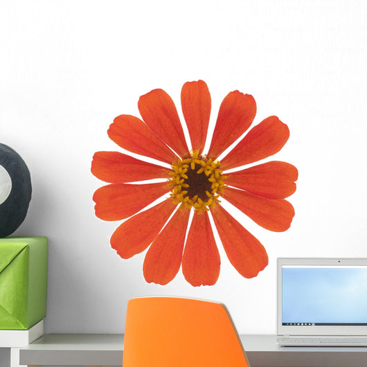 Zinnia Wall Decal
