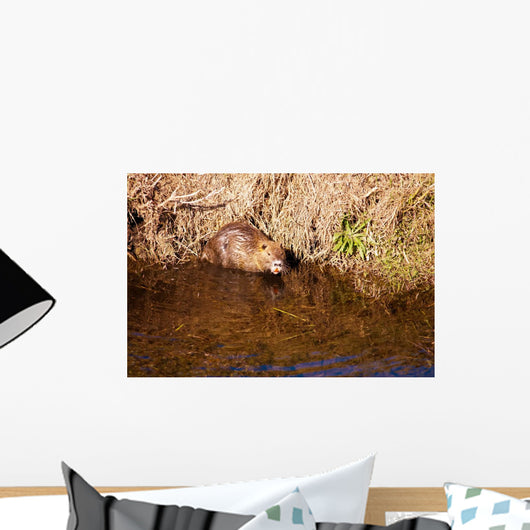 Nutria Wall Decal