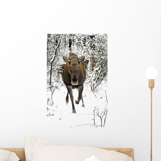 Moose Wall Decal