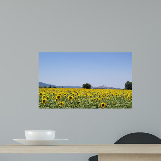 Sunflowers Field Background San Wall Decal