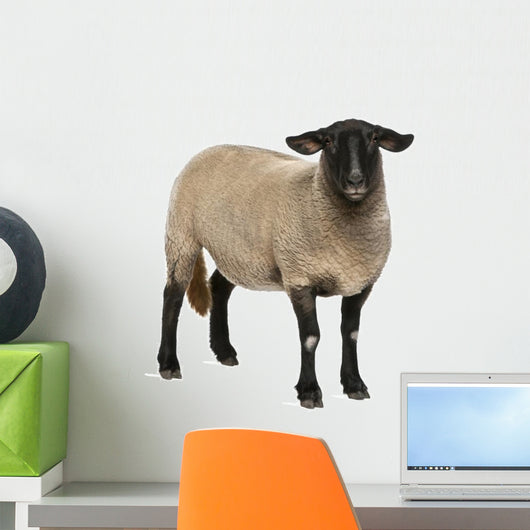 Female Suffolk Sheep Wall Decal