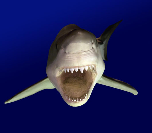 Great White Wall Decal