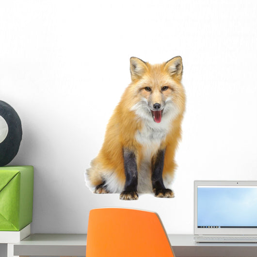 Red Fox Sitting Wall Decal