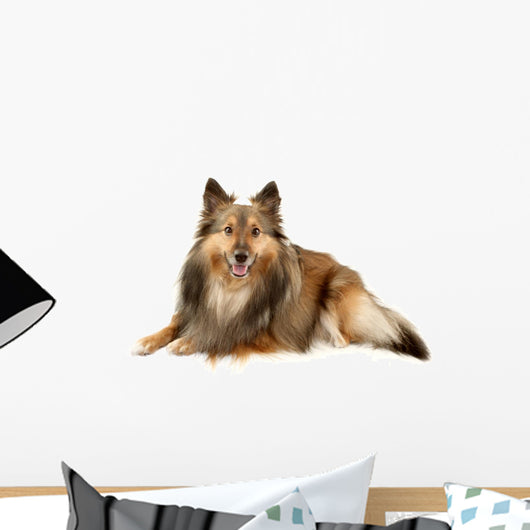 Beautiful Furry Sheltie Wall Decal