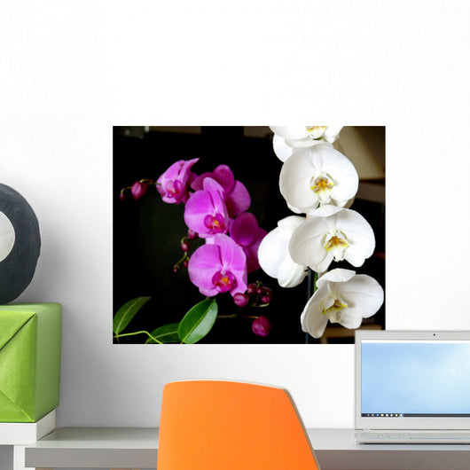 Orchides Parme Et Blanche Wall Decal