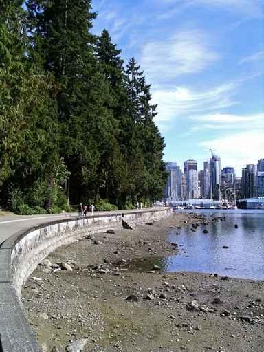 Vancouver Stanley Park Looking Wall Decal