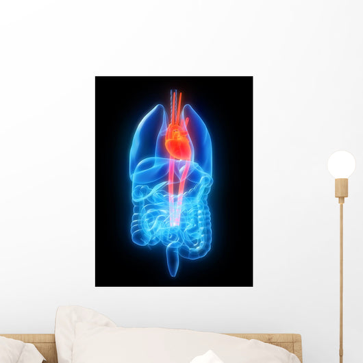 Menschliches Herz Wall Decal