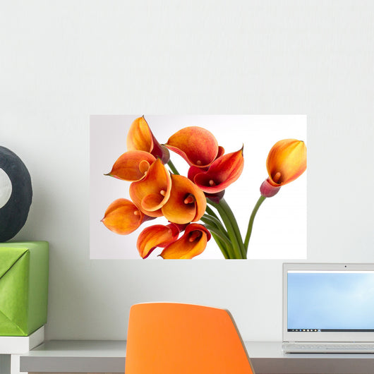 Orange Calla Lilieszantedeschia Over Wall Decal