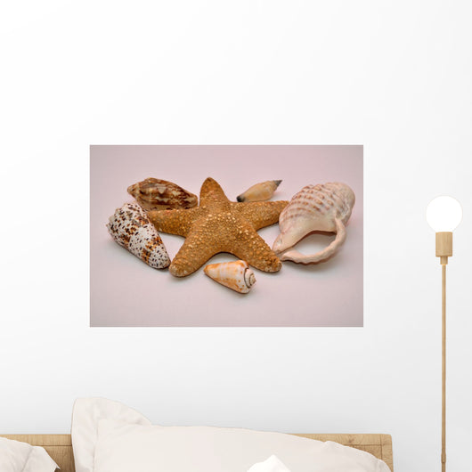 Starfish And Shells Wall Decal