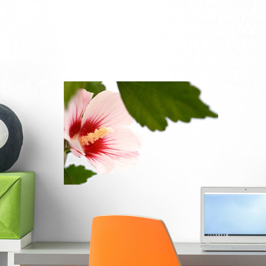 Hibiscus Flower White Wall Decal