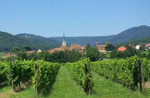 Mittelbergheim Wall Decal