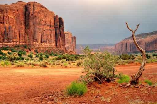Monument Valley Tribal Park Wall Decal