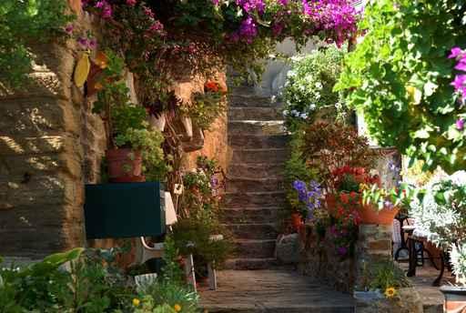 Treppe Bormes Les Mimosas Wall Decal