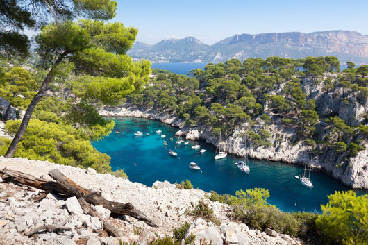 Calanques Port Pin Cassis Wall Decal