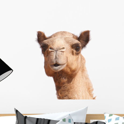 Camel Head Wall Decal