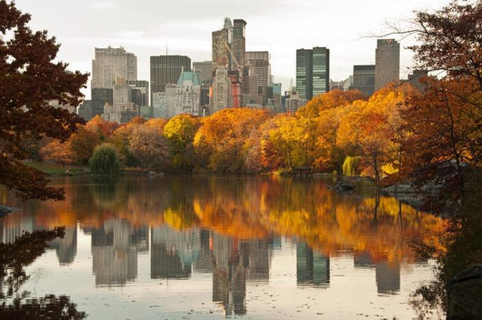 Fall Dawn Central Park Wall Decal