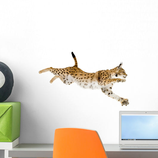 Pouncing Lynx Wall Decal