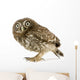 Young Owl Left Side Wall Decal
