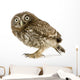 Young Owl Left Side Wall Decal
