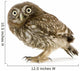 Young Owl Left Side Wall Decal