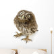 Young Owl Looking Up Wall Decal