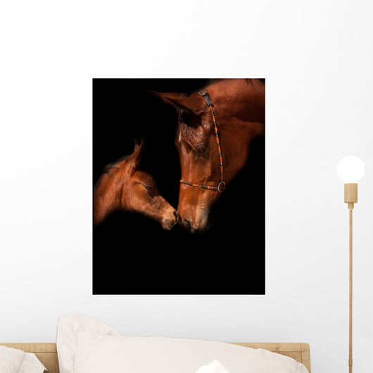 Soft Things Wall Decal