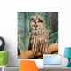 Wise Looking Owl Wall Decal