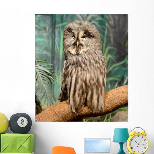 Wise Looking Owl Wall Decal