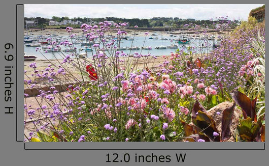 Coast Brittany Covered With Flowers Wall Decal