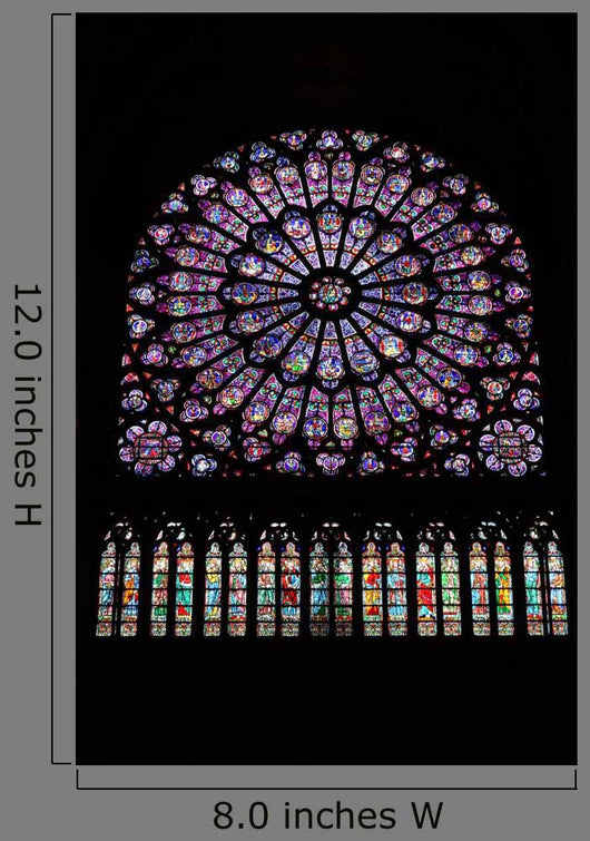 Notre Dame Paris Wall Decal