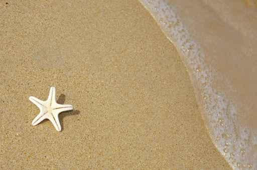 Star Wall Decal