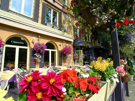 Italian Restaurant Outdoor Patio Wall Mural