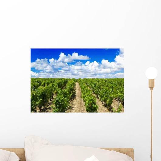 Vineyard Bordeaux Wall Decal