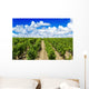 Vineyard Bordeaux Wall Decal