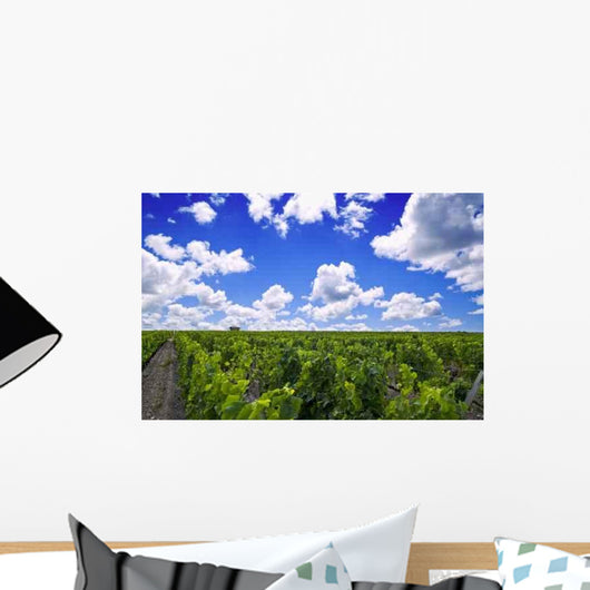 French Vineyard Bordeaux Wall Decal