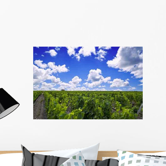 French Vineyard Bordeaux Wall Decal