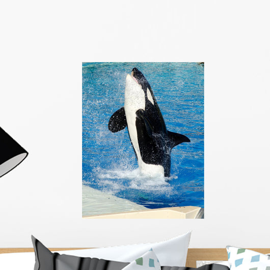 Killer Whale Wall Decal